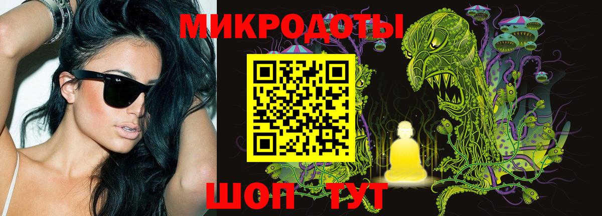 Кингисепп  Псилоцибиновые грибы прущие грибы  Псилоцибиновые грибы Magic Shrooms  Вход с VPN 