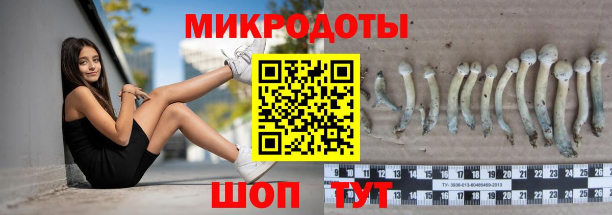 Псилоцибиновые грибы GOLDEN TEACHER Кингисепп